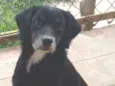 Sid