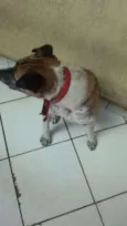 Mesclado