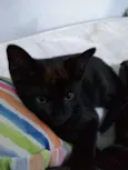 Jane & Hermione 