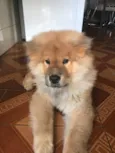 Bob