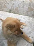 Bob