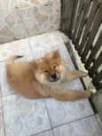 Bob