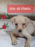 não possuem nomes