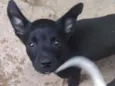 Téo