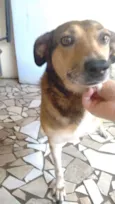 Misturinha