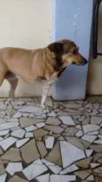 Misturinha