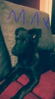 max