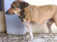 Misturinha