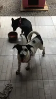 Maia e Cristal