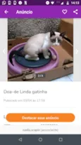 Belinha