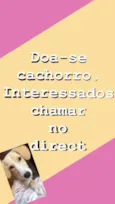 Cristal 