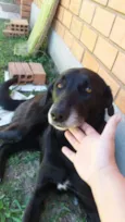 Kiara