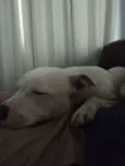 Baldur