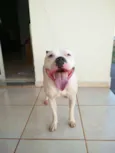 Baldur