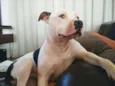 Baldur