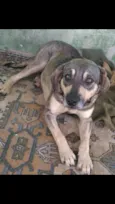 Princesa