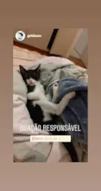 Bruce e Frida