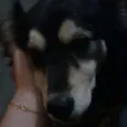 Sofia