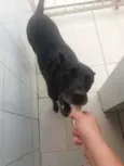 BIG