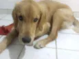 Marley
