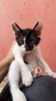 Não tem nome ainda