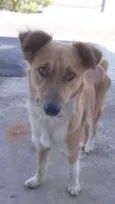 Bob