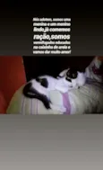 Gêmeos