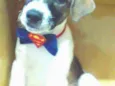 Beethoven