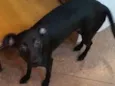 Meg