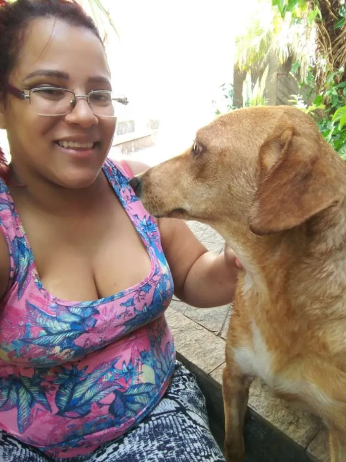 Cachorro raça SRD Vira Lata idade 6 ou mais anos nome Nina