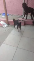JOAOZINHO