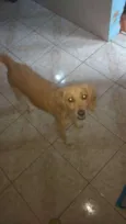 LUDMILA