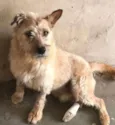 Tobby