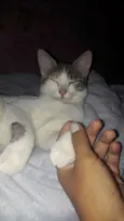 Nina