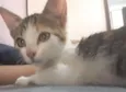 Nina