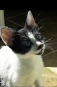 Bob