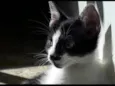 Bob