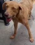 Mel uma fofa 