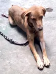 Mel uma fofa 