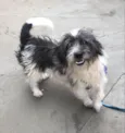 Bob 