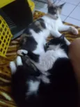 Fiona