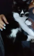 Fiona