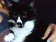 Fiona