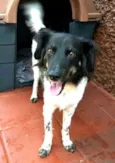 Julia 