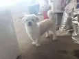 Lucky