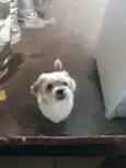 Lucky