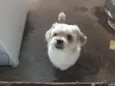Lucky