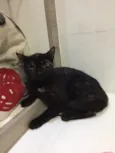Isadora