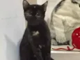 Isadora