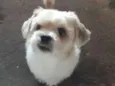 Lucky